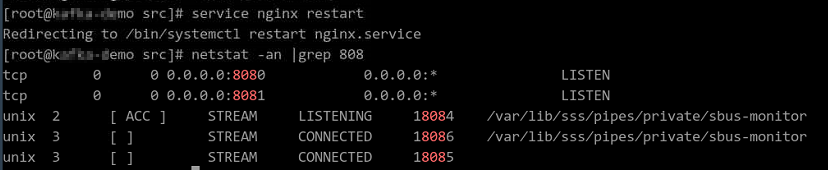 Figure 5 Starting Nginx and verifying the start