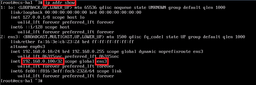 Figure 6 Virtual IP address of ecs-HA1