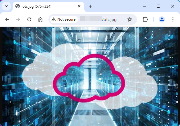 Figure 4 Using a fixed IP address to access OBS
resources